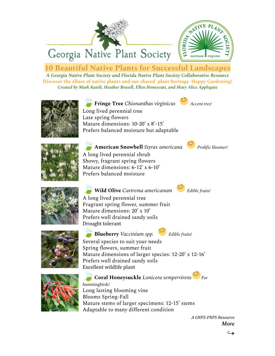 10 Beautiful Native Plants for Successful Landscapes